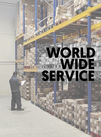 Servicio Mundial